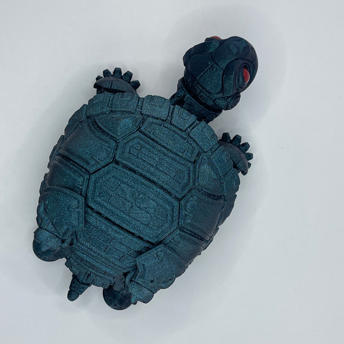 Tortoise - two styles, multiple colours