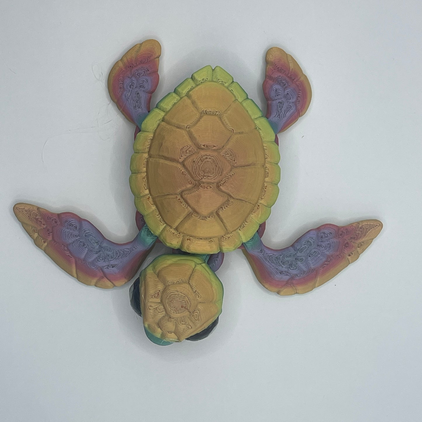 Sea Turtle