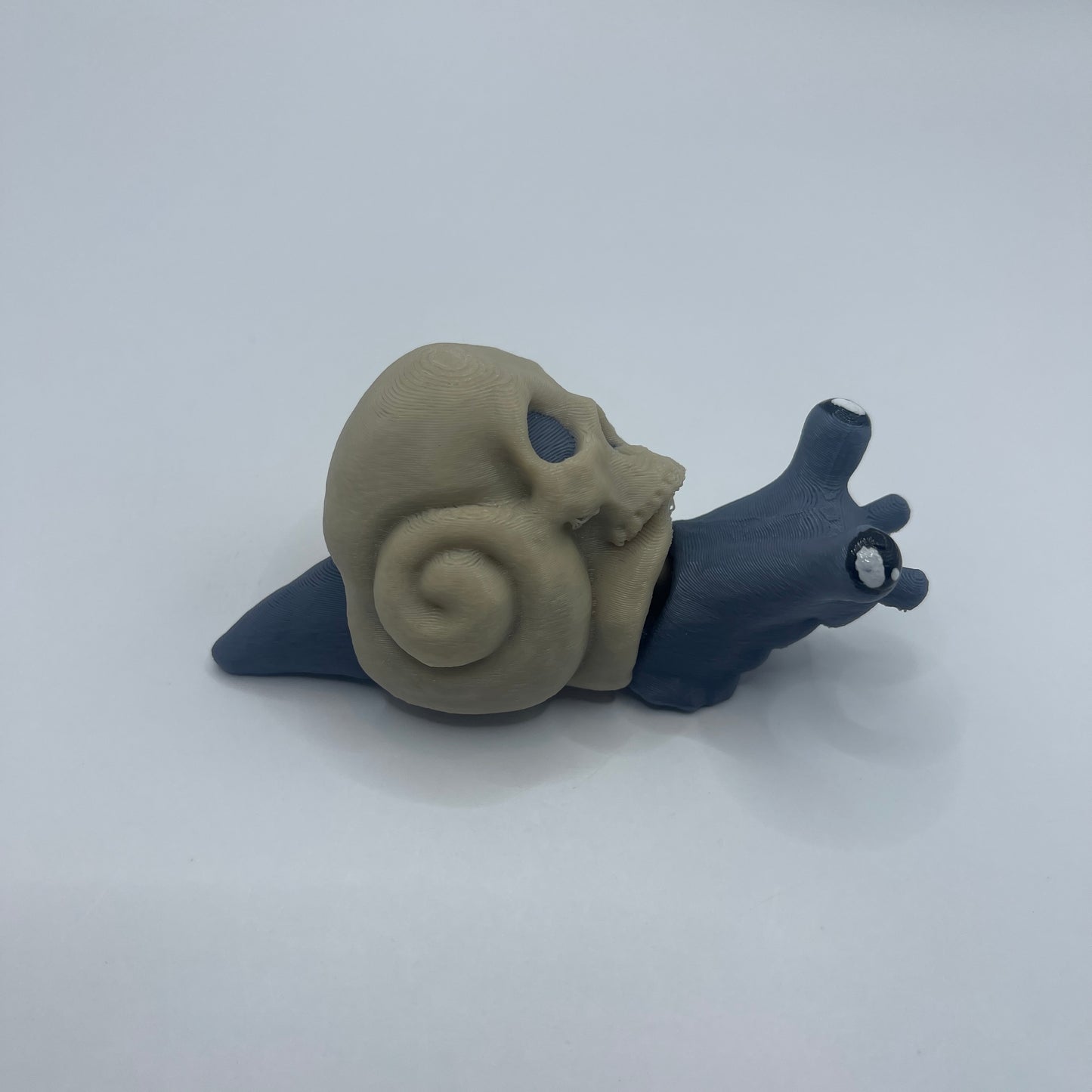 Fidget Snail