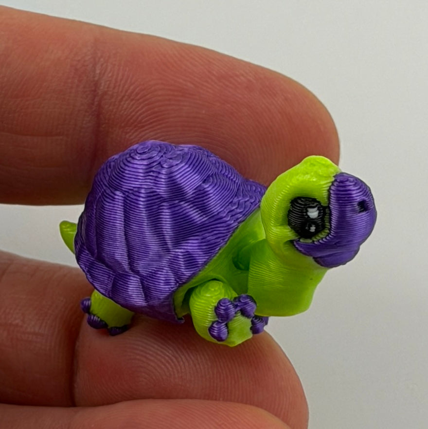 Teeny Tiny Tortoise purple and green