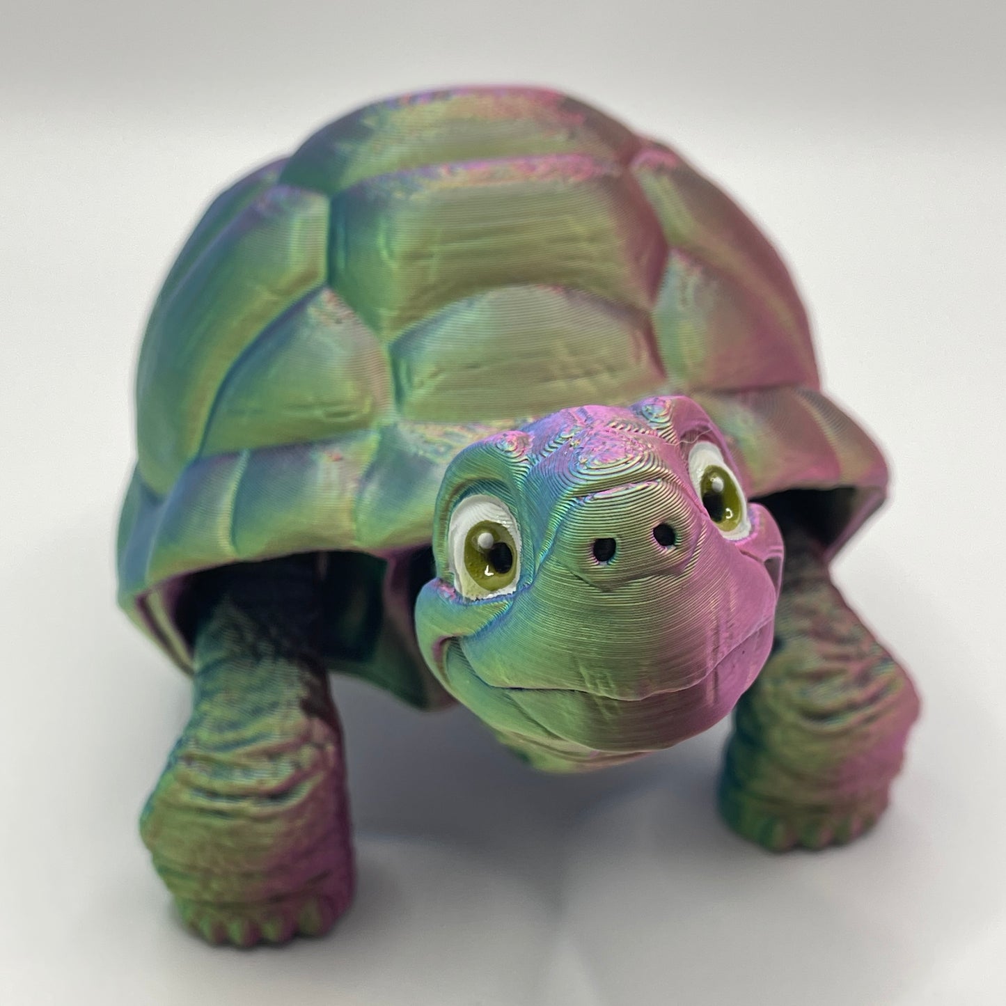 Tortoise - two styles, multiple colours