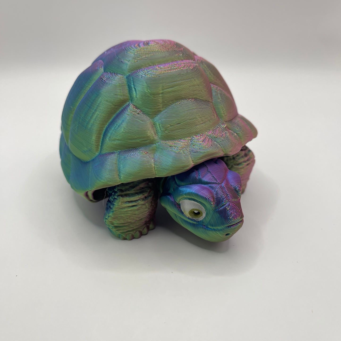 Tortoise - two styles, multiple colours