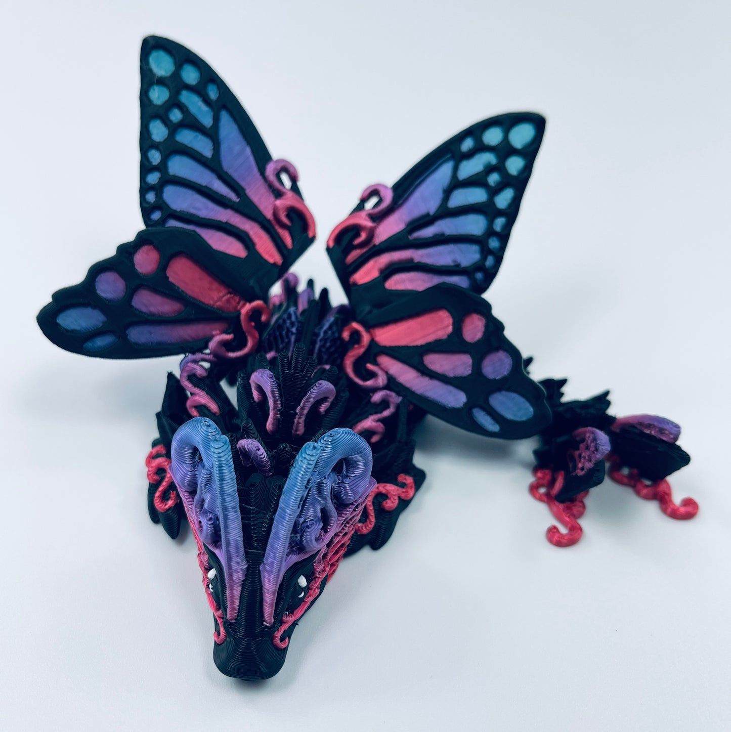 black and rainbow baby butterfly dragon